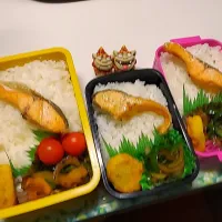 夫弁当､娘弁当､私弁当|みどりさん