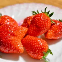 とちおとめ🍓|Yasuo  Watanabeさん