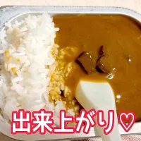 非常食カレーライス|ももさん