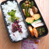 夫のお弁当|みわさん