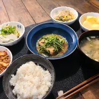 鶏胸肉の豆苗餡掛け|KEITAさん