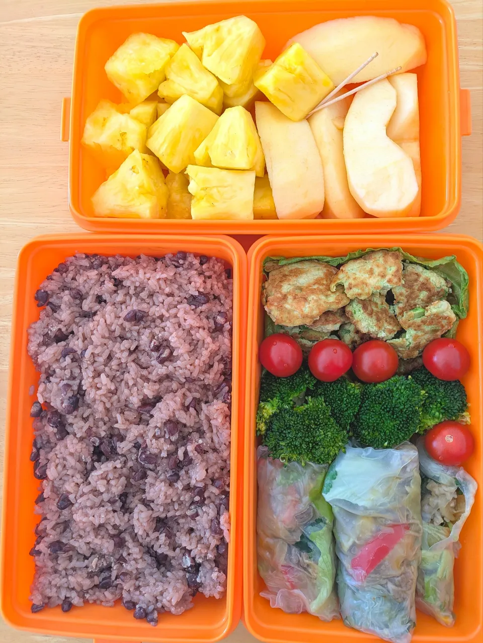 春の行楽お弁当|ちゃんあやさん