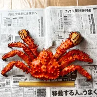 🦀北海道から花咲ガニが届いた!!🦀|めいめいさん