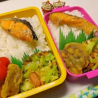 夫弁当､私弁当|みどりさん