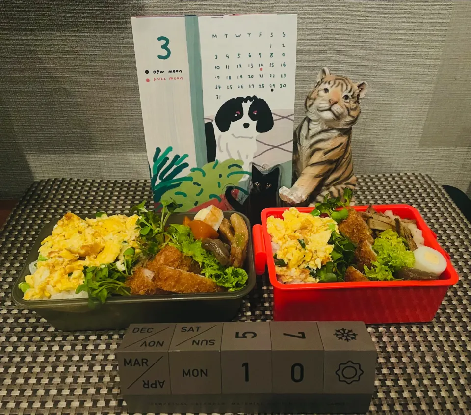20250310🍱今日のお弁当🍱|akiyo22さん