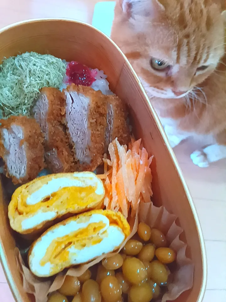 ソースカツ丼お弁当|さくらんぼさん
