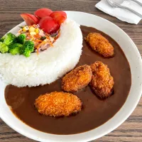 ダムカレー🍛| Ｌilicaさん