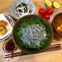 生しらす丼