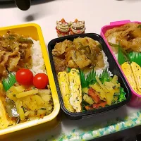 夫弁当､娘弁当､私弁当|みどりさん