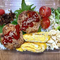 豆腐ハンバーグ弁当|望さん