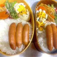 中学生とパパ弁当🍱塩味玉、インゲン胡麻和え、人参と蓮根のきんぴら、ウィンナー|りえはるさん