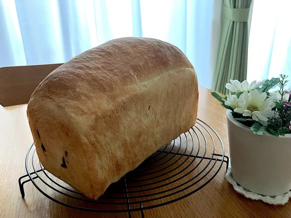 ＊山食レーズンパン🍞＊|＊抹茶＊さん