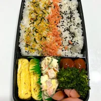 早朝　お弁当|爰音さん