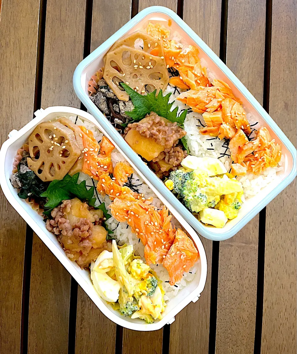 鮭弁当|Dayuuさん