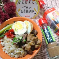 五香粉の香りに溺れる魯肉飯 ·͜·♡