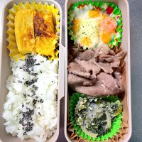 塩麹やきにく弁当|あおのりさん