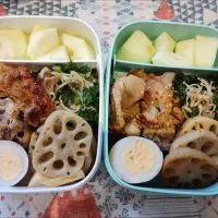 Lunch Box お弁当|Reiko Momさん