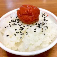 炊き立てご飯🍚梅干しとごま塩|まいりさん