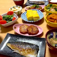 サバ塩焼きとさつま揚げ|こどもおやじさん