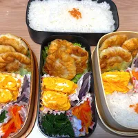 揚げ餃子弁当🍱|ふみふみさん