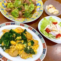 今夜は 中華で 野菜消費🥬|sakuramochiさん