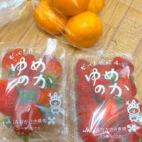 🍓&せとか|monaka427さん