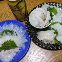 ヒラメとコウイカのお刺身イタダキマス！