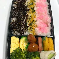 早朝　お弁当|爰音さん