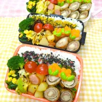 豚さけチー大葉のクルクル春巻き弁当❤|みちゅあしさん