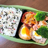 スコッチエッグ弁当|kiicoさん