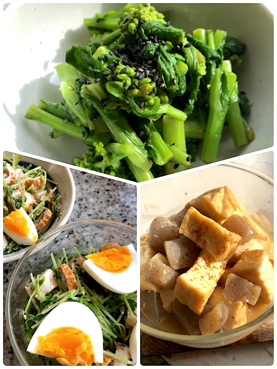 菜の花辛子和え、豆苗ちくわ、厚揚げ蒟蒻【作り置き】|ヨウコさん