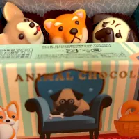 |またたび星さん