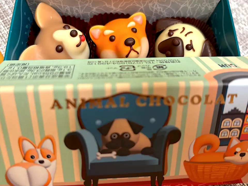 |またたび星さん