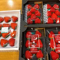 かおりん、あまりん、べにたま　埼玉県いちご三品種|あべたかひろさん