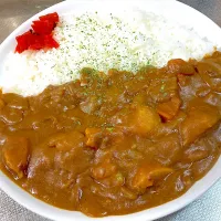 チキンカレー|satoruさん