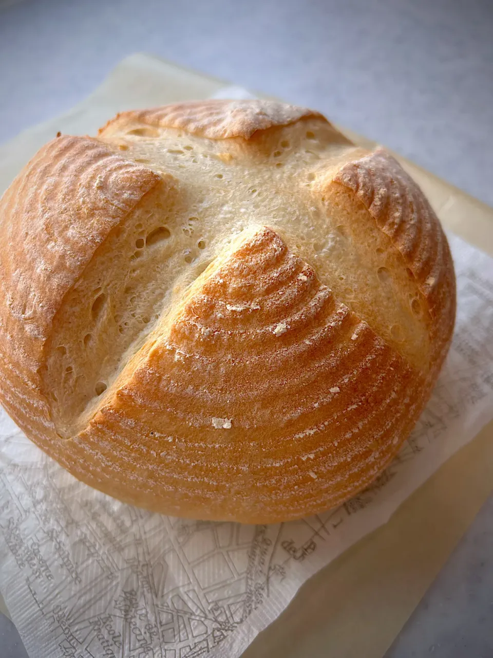 カンパーニュ|黄な粉さん