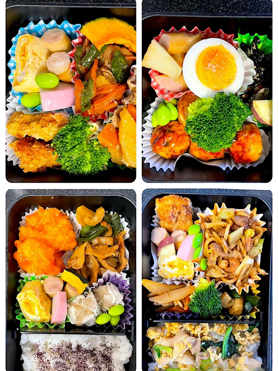 今週のお弁当|パパ手料理さん