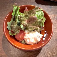 サラダ🥗