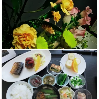 Snapdishの人気料理写真:ある日の料理