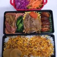 🍀2025/0317(月)肉じゃが弁当|ともちんさん