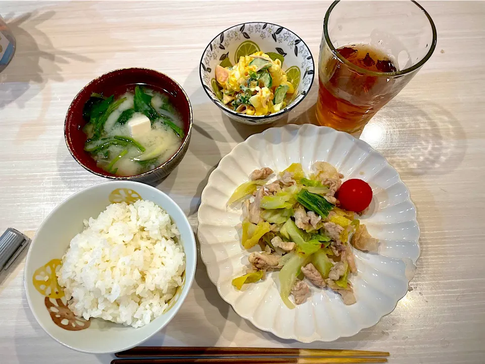 胡麻香るキャベツ炒め|キヨさん
