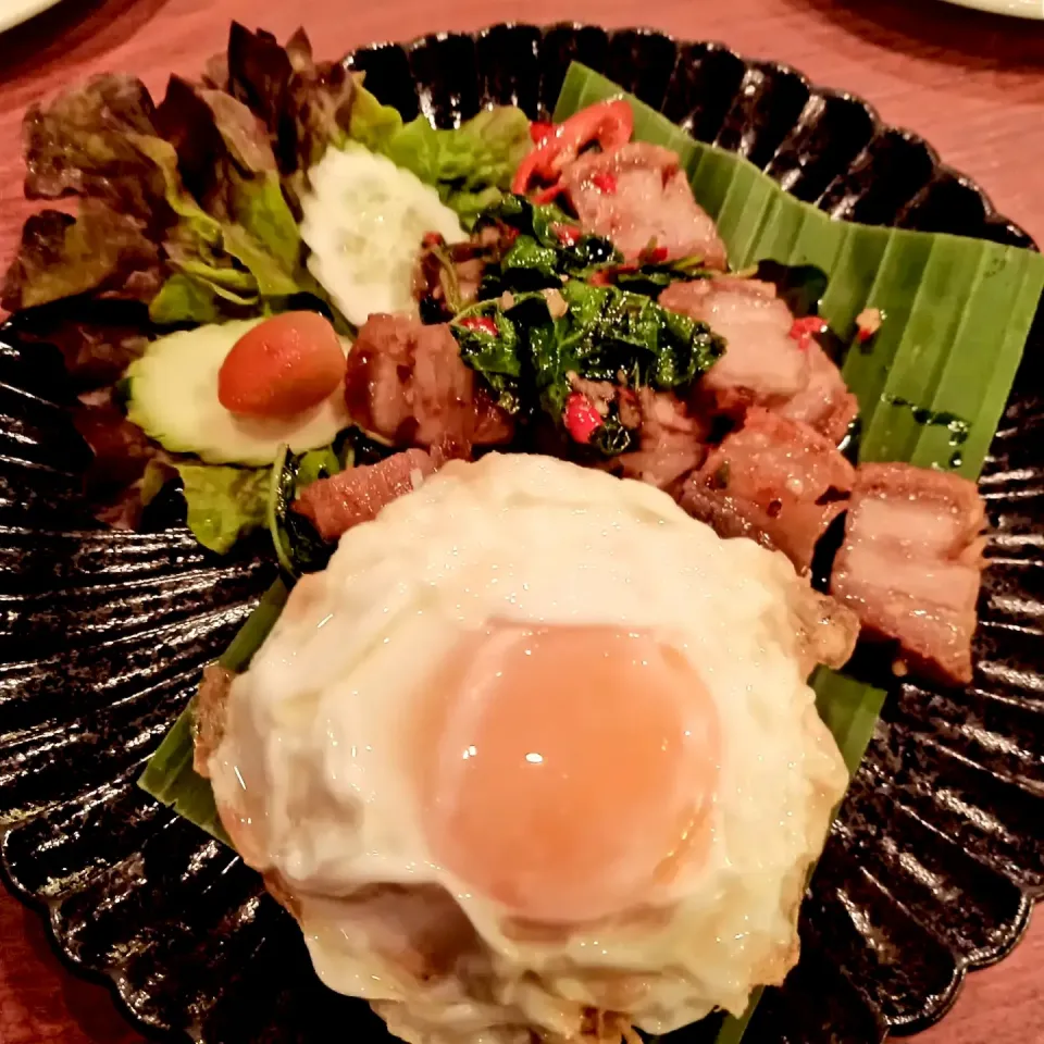 Gaprao Moo Krob + Kai Dao (กะเพราหมูกรอบไข่ดาว) 🐷🍳🤤|An'leeさん