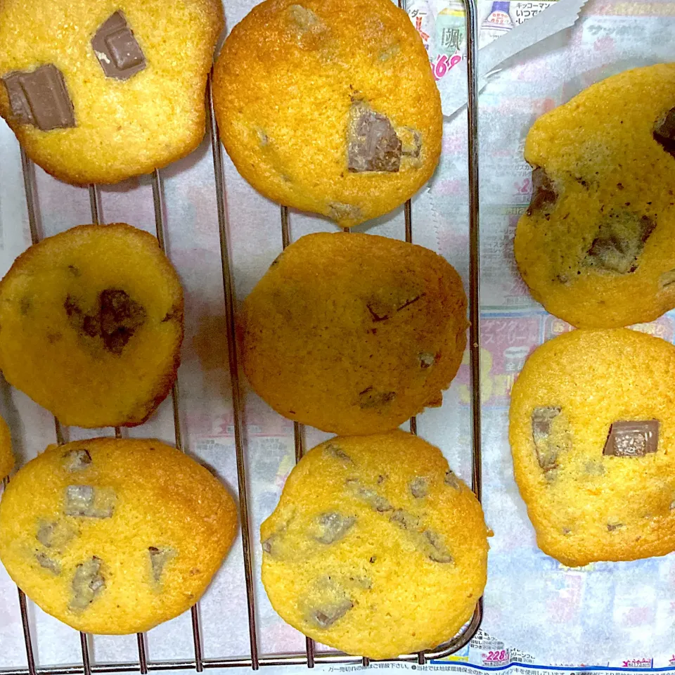 クッキー🍪|ここさん