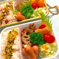 2025.3.18  ＊今日のお弁当＊蓮根と豚こまのきんぴら♪|rinrin*mama*さん