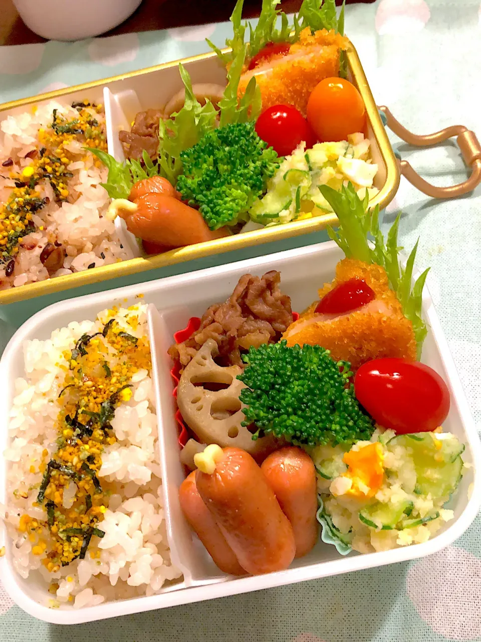 2025.3.18  ＊今日のお弁当＊蓮根と豚こまのきんぴら♪|rinrin*mama*さん