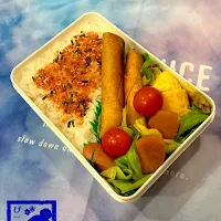 旦那様用⭐︎おかず少なめ弁当113日目。|☆ぴ〜ちゃん☆さん