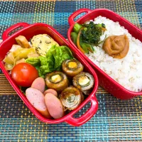 今日の旦那さんのお弁当|naoさん