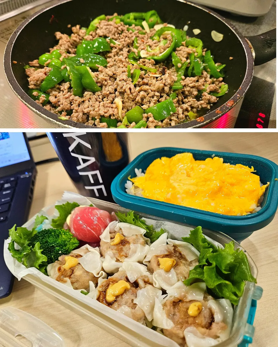 本日の手作り弁当です|motohiroさん