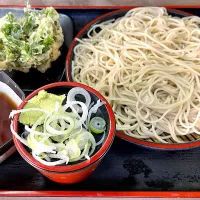 立食いそば手帳 名店120［首都圏編］あり賀せいろう（馬喰横山）春菊天せいろ   250318|ゆうじ.さん