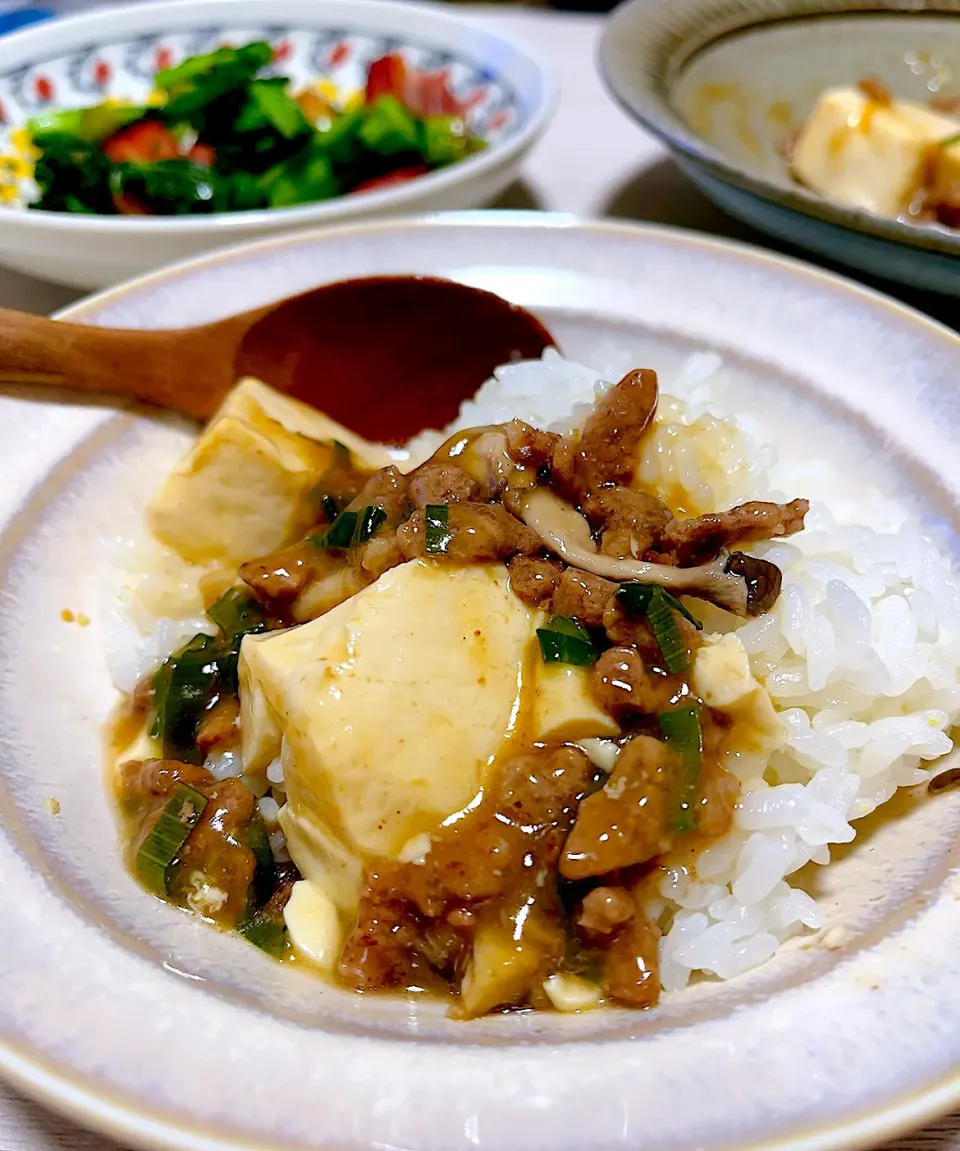 麻婆豆腐|もっさんさん
